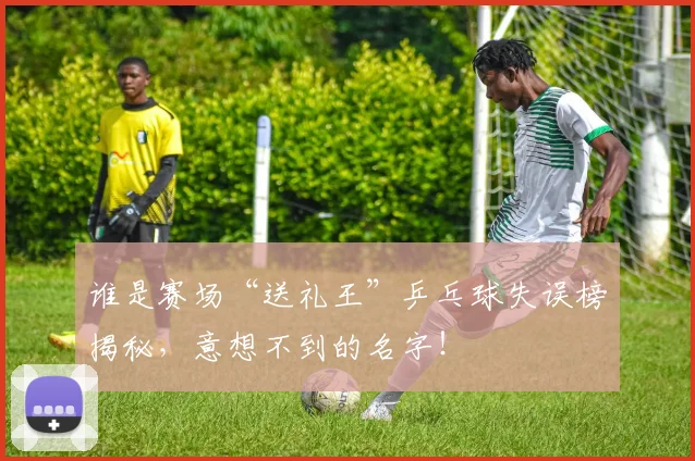 谁是赛场“送礼王”乒乓球失误榜揭秘,意想不到的名字!